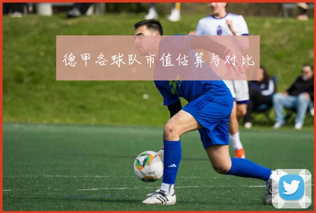 德甲各球队市值估算与对比