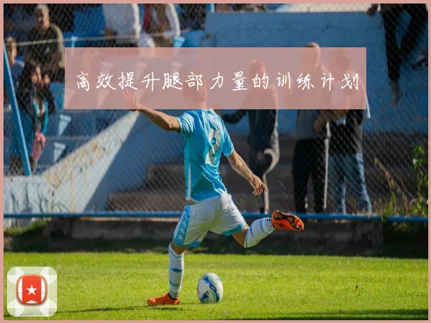 高效提升腿部力量的训练计划