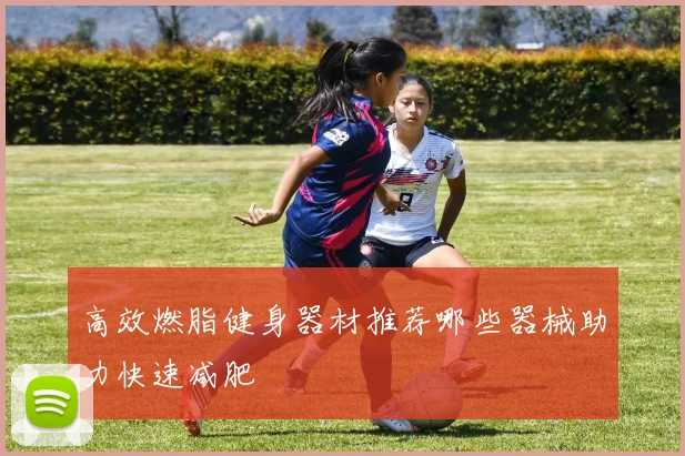 高效燃脂健身器材推荐哪些器械助力快速减肥