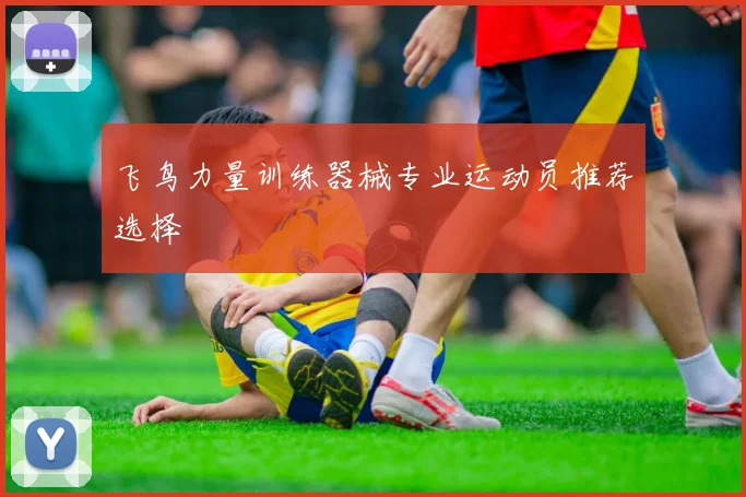 飞鸟力量训练器械专业运动员推荐选择
