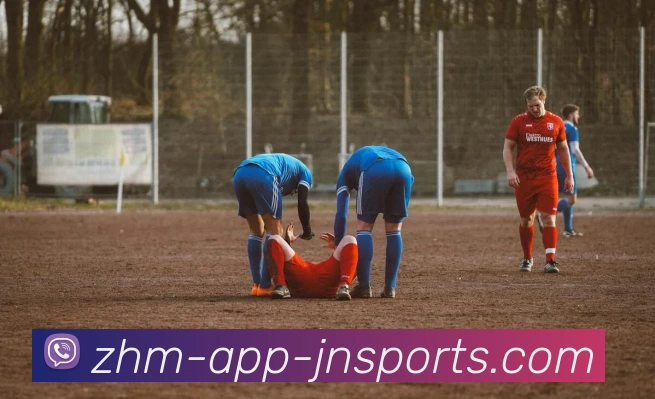 江南体育平台生态图